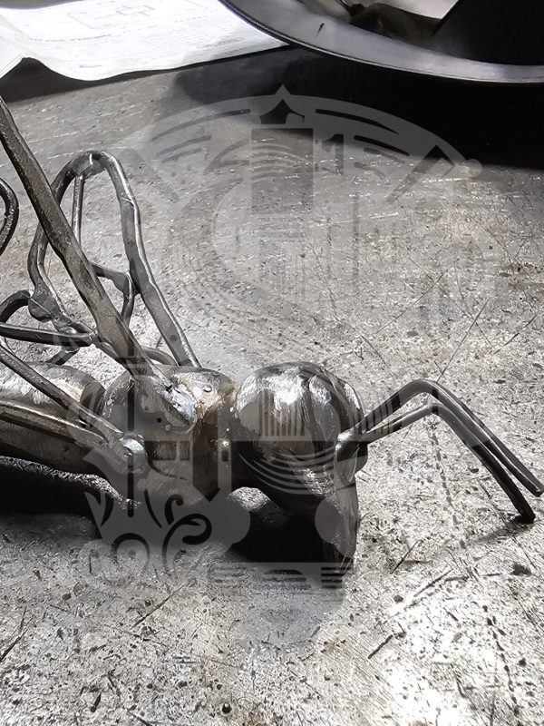 20231124_081656